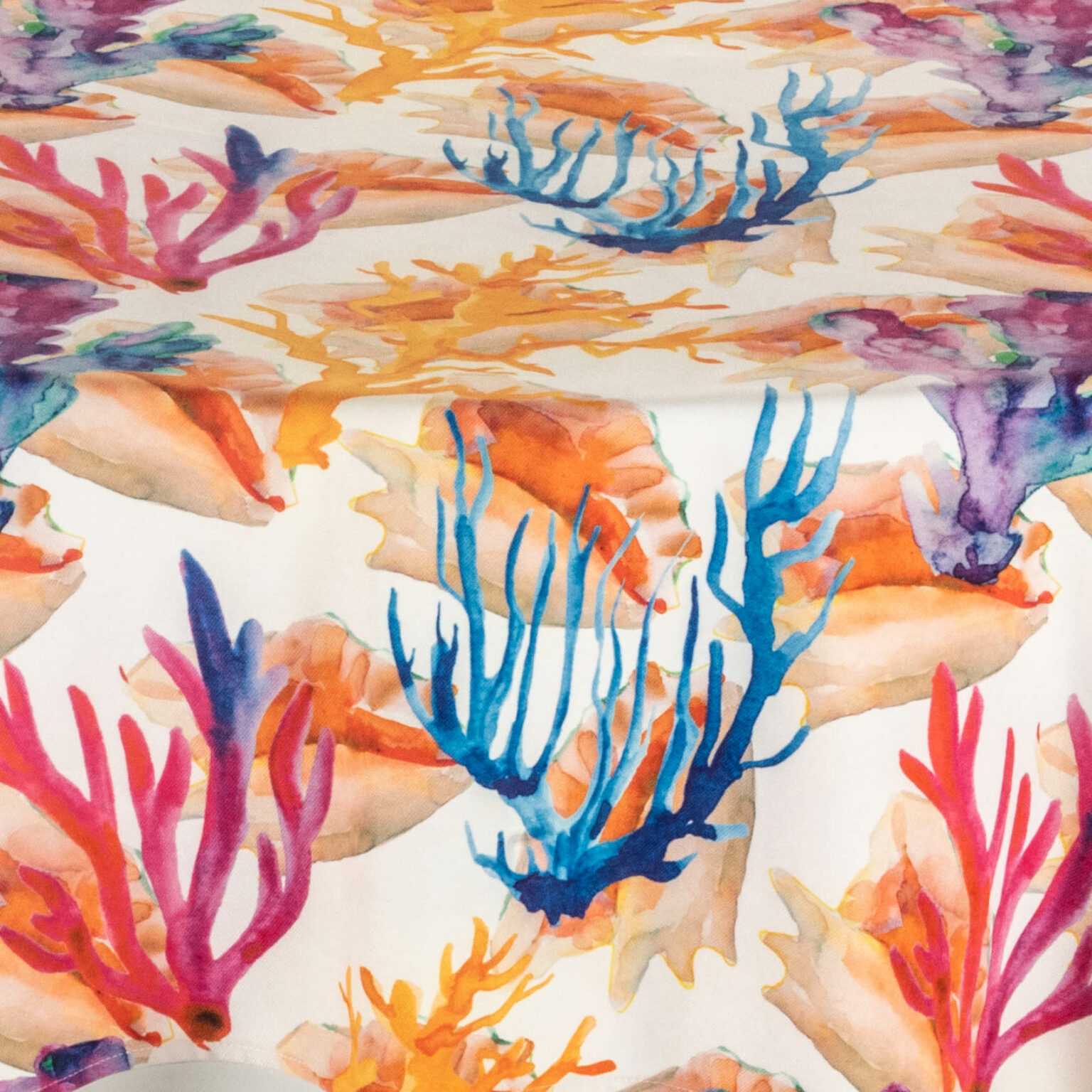 Shell Swatches Conch Shell - Over The Top